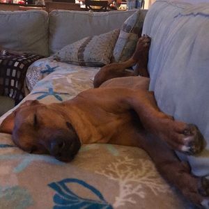 Meet your Posher, Christina